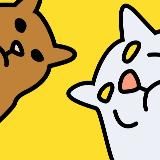 твой будущий кот