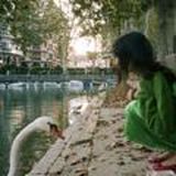 языки и темы для телеграмма