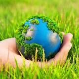 WTFact в Природе🏞️