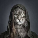 Странница опять куда-то уехала 🌍