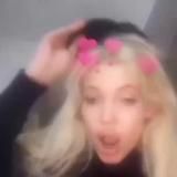 Семейство Финесс 🌱