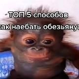 отзывы рб papikss