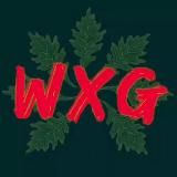 Wizard X Grow ☘ CHANNEL