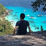 Гаркуценко про управляемое развитие