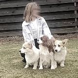 miipex