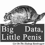 Big Data Lil Pinus