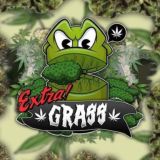 ExtraGrass - כיוונים VIP