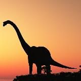 Скидкозавр на вайлберис