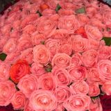 БЕСПЛАТНЫЙ ОНЛАЙН-УРОК✨