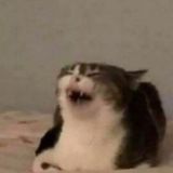 Семён поясняет мемы