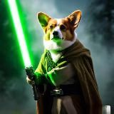 Мысли Джедая