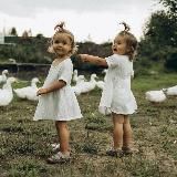 ТИГРОВЫЕ КРЕВЕТКИ