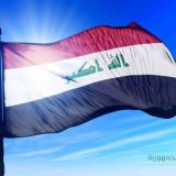 اسئلة الامتحان التنافسي