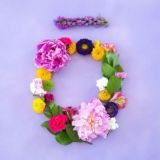 DOTERRA Sakhalin Chat