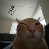 Фрукты, овощи 🍅