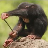 Чё-то делаю