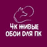 4к живые обои на пк и телефон