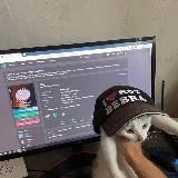 модер или можер?