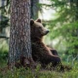 Русские Za бугром 🇷🇺