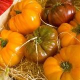 One Good Future - Der Kanal für Selbstversorger