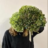 Книжки, мальчишки и пёс