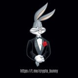 Crypto Bunny