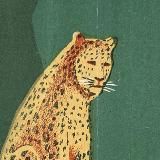 загадочный суп