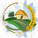 Ждановичи 🏡🏘