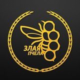 🐝 Злые Новости