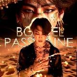 ЗАКРЫТЫ BORDEL PASSIONNÉ