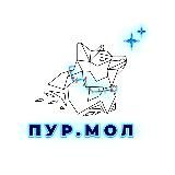 ПУР.МОЛ | Медиаканал