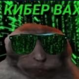 KiziaDAO