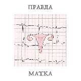 Правда-матка