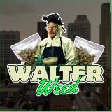💥WALTER-WEED93💥