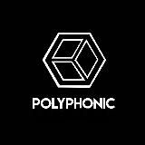 POLYPHONIC GROUP реклама