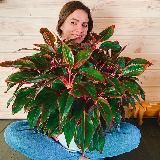 РостокВл 🪴 Rostok_Vl Владивосток