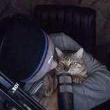 сквад травки