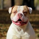 Стиф и Виктор✊