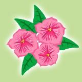 Цветуаж🌷Самый Цветочный