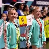 КРЫЛЬЯ ТВИРЛИНГ