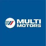 Multimotors | электромобили