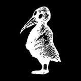 Ptюch house | Птюч