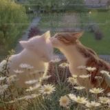 ⏤͟͟͞͞ʙᴏx_ᴡɪᴛʜ.ɢᴀᴄʜᴀ ♡゙ идеи для ос гача