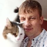 У котов нет тупиков