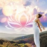 soul flight | мотивация