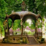 𝐡𝐨𝐦𝐞𝐲 𝐚𝐫𝐛𝐨𝐫