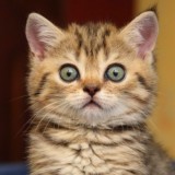 Переходничок💞