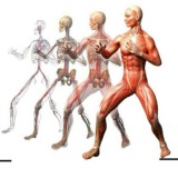 ❗ЛФК ФИТНЕС ДИЕТОЛОГИЯ РЕАБИЛИТАЦИЯ МАНУАЛЬНАЯ ТЕРАПИЯ БИОХИМИЯ АДАПТИВНАЯ