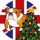 Английский класс | Изучение в мемах и опросах