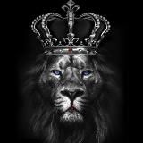 Криптовалютный миллионер